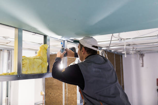 Best Crawl Space Insulation  in Blackstone, VA