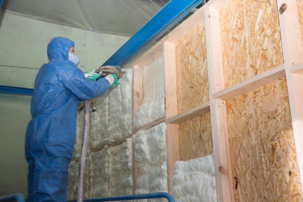 Trusted Blackstone, VA Insulation Contractor Experts