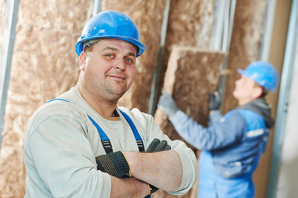 Best Wall Insulation Contractor  in Blackstone, VA