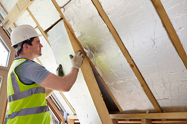 Best Fiberglass Insulation  in Blackstone, VA